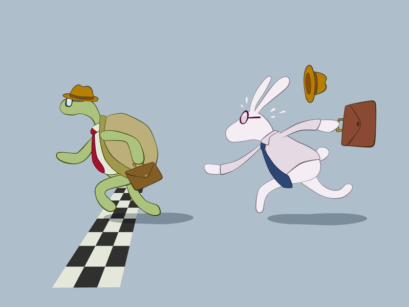 Turtle and rabbit - Wealth Accumulation