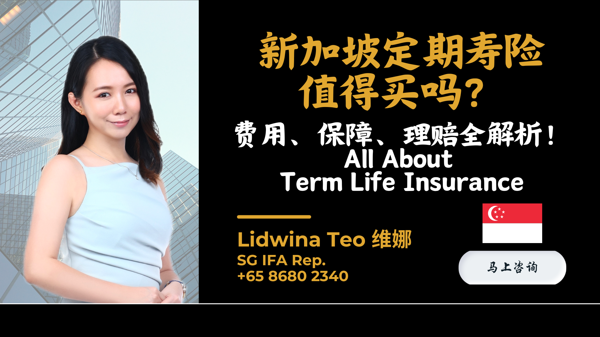 新加坡定期寿险值得买吗？费用、保障、理赔全解析！All About Term Life Insurance — Engage