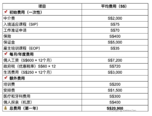 domestic-helper-cost-nvyong-kaixiao