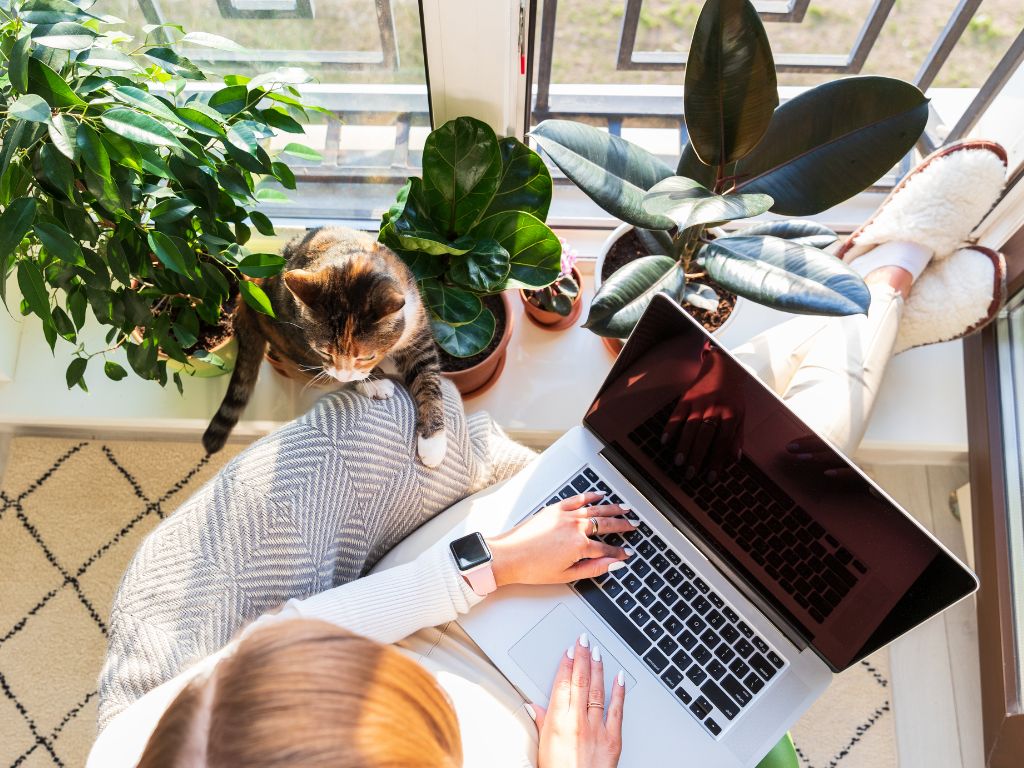 freelancing